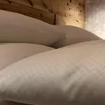 Apartment Alpenburg Bergparadies *